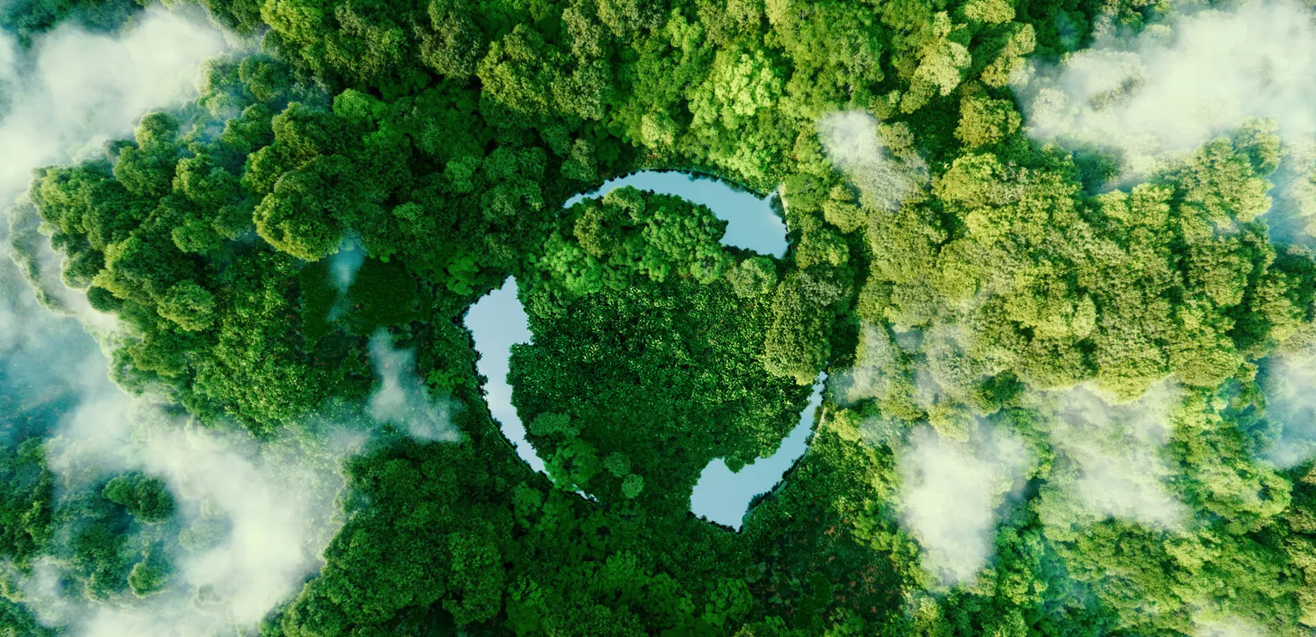 Environmental protection and sustainability